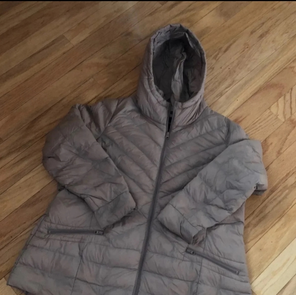 Lane Bryant coat